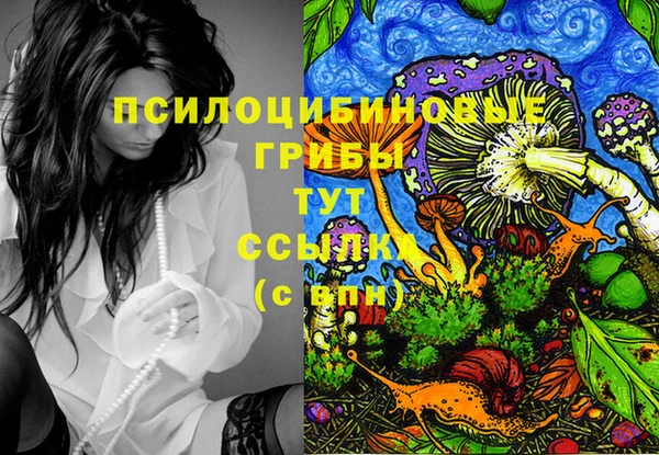 MDMA Алексеевка