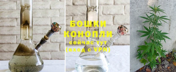 стаф Волосово