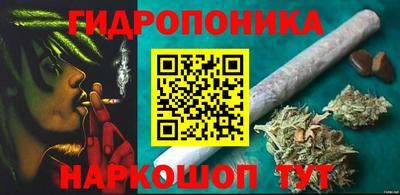 амф Анжеро-Судженск