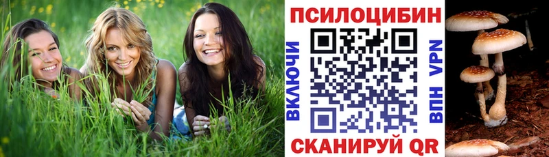 наркошоп  Пермь  Псилоцибиновые грибы MAGIC MUSHROOMS 