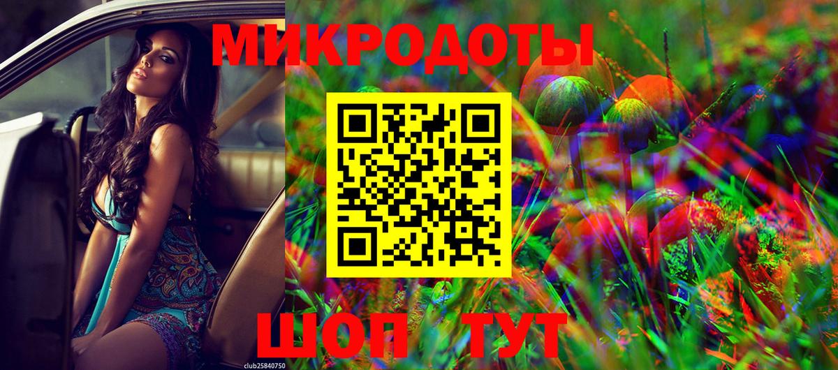 Галлюциногенные грибы Psilocybe Пермь